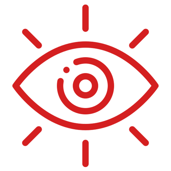 Vision Vision